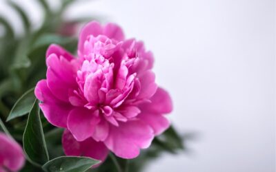 What will your Legacy be